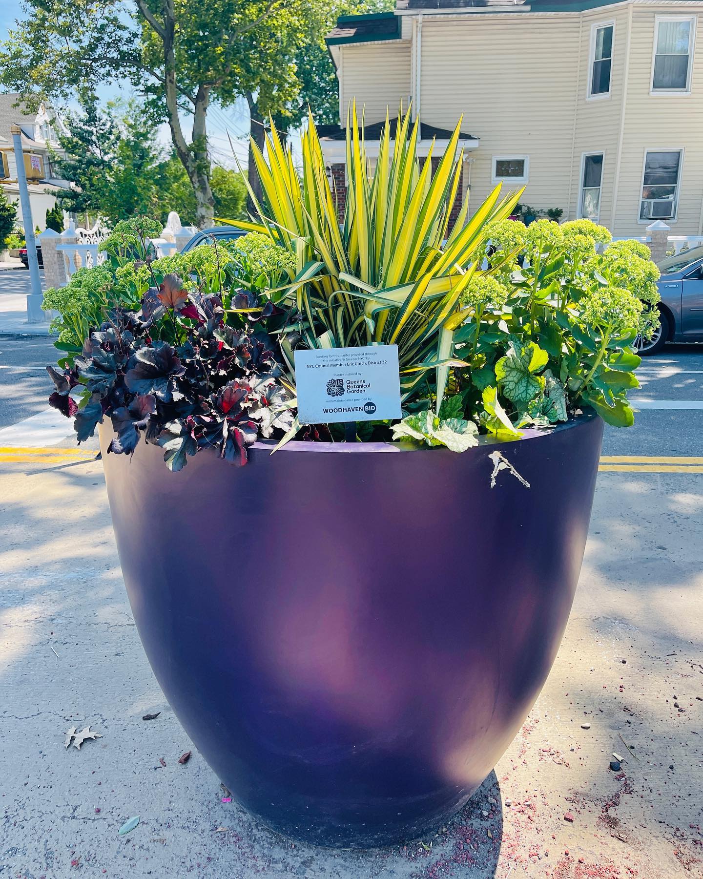 A large purple planter filled with various green and burgundy plants sits on a sidewalk next to a street. A small sign with a QR code is placed among the plants. Trees and houses are visible in the background.
